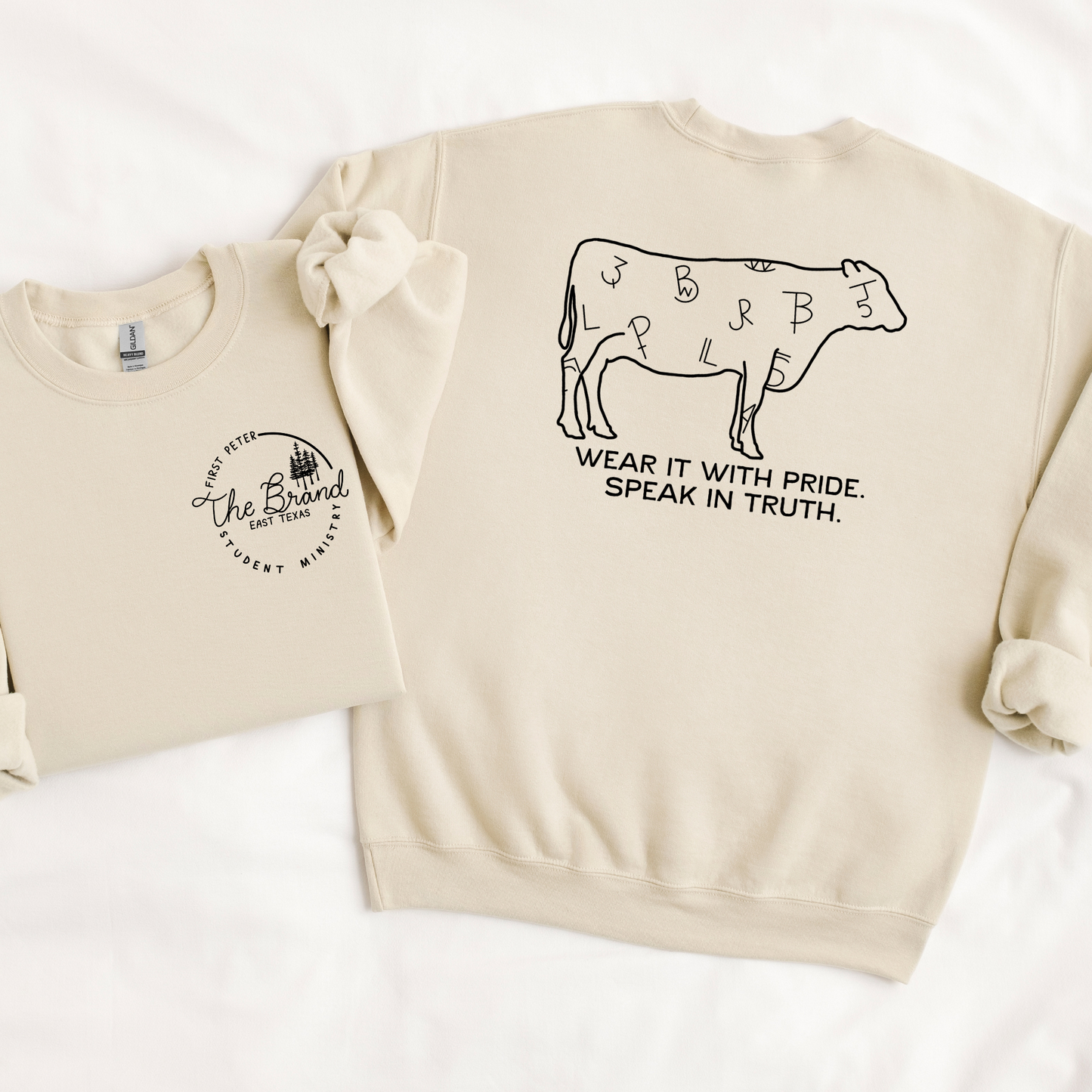 Speak in Truth Graphic Sweatshirts