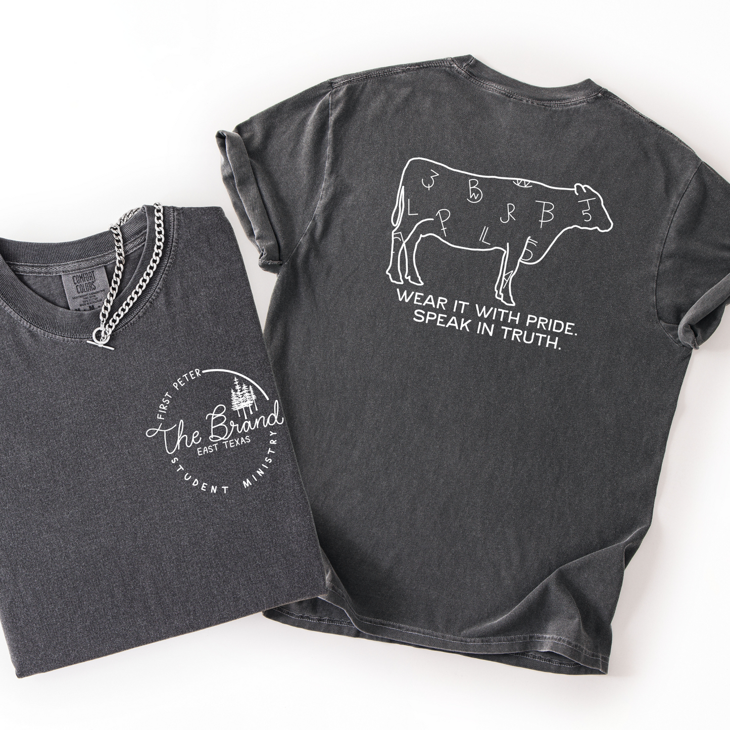 Speak in Truth Graphic Tee