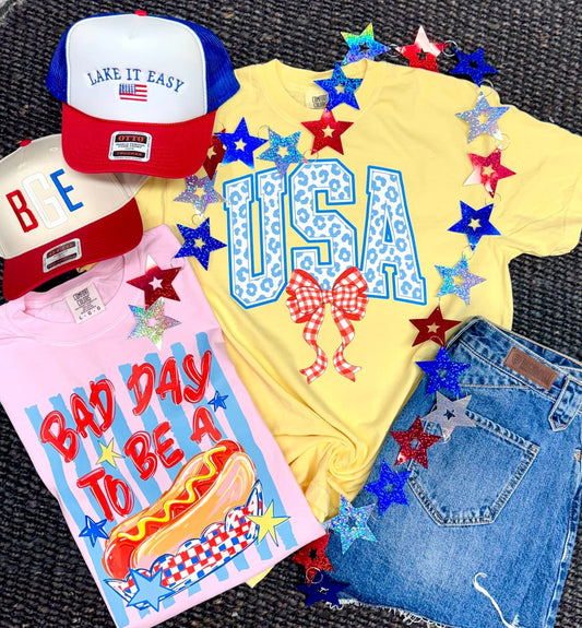 Bad Day to Be a Hot Dog Tee